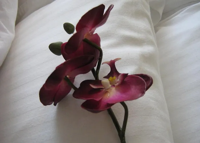 Yonge Suites Furnished Apartments