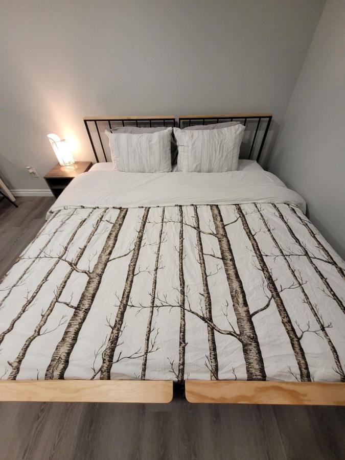Basement - Master Bedrooms In Bayview Village Guest house