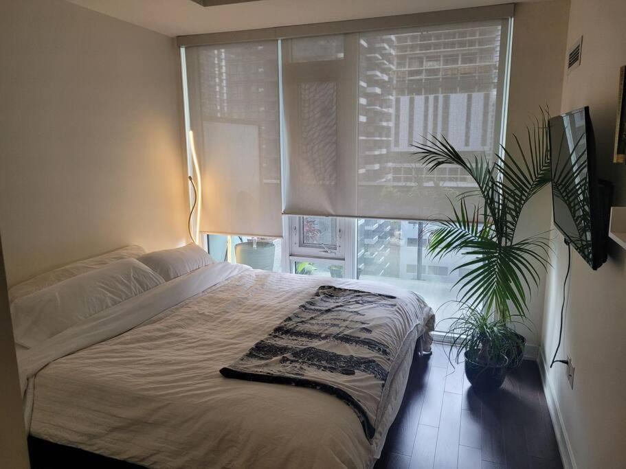 Beautiful One Bdrm Entertainment District *