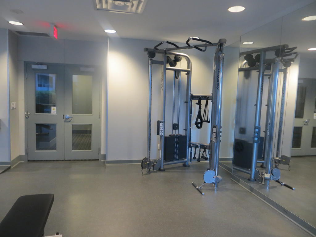 Apartment Super Awesome King West Furnished