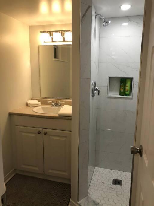 Entire Suite: Private Basement Studio Apartment! * Toronto