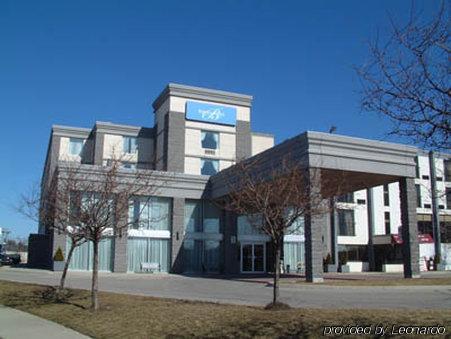 Comfort & Conference Centre Airport Inn
