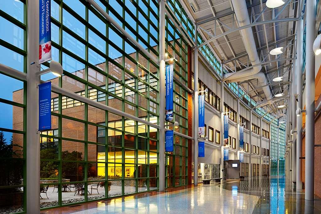 Bmo Ifl Toronto