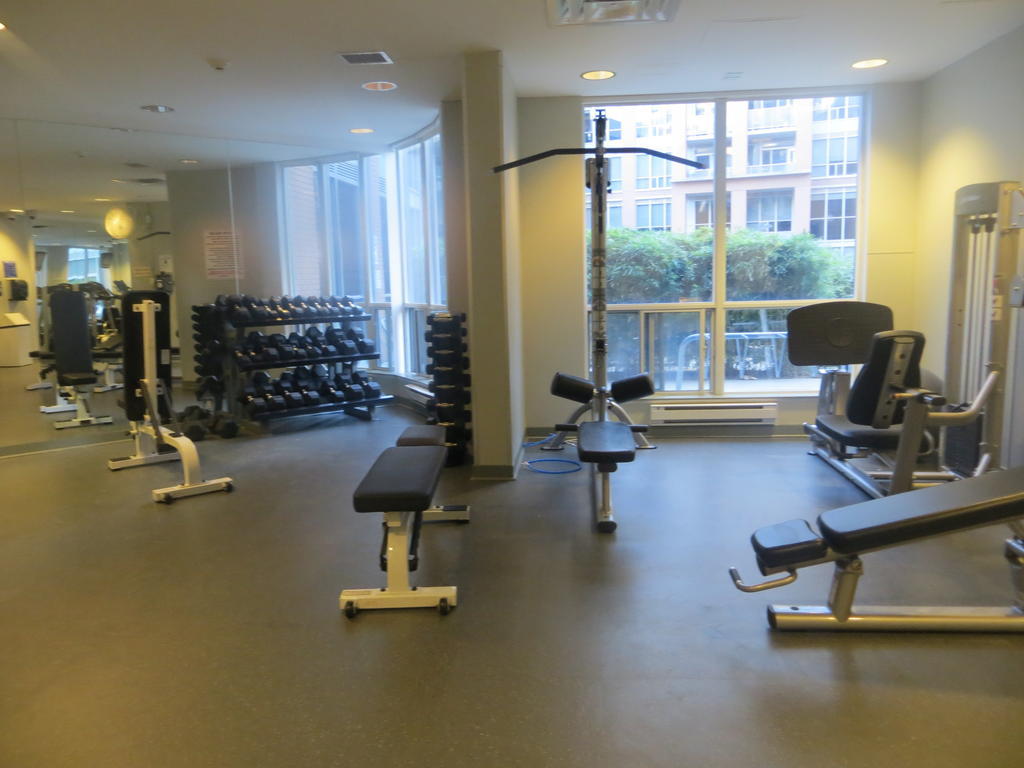 Apartment Super Awesome King West Furnished