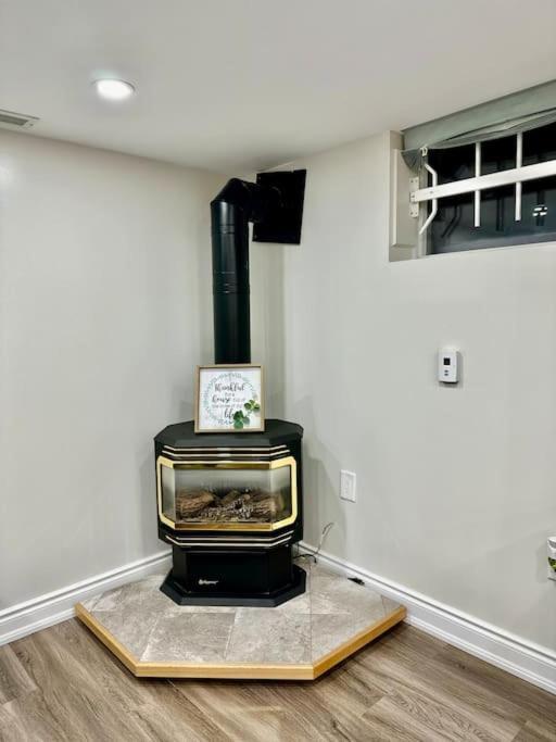 Apartment Cozy Studio Bsmt In Scarborough Central *