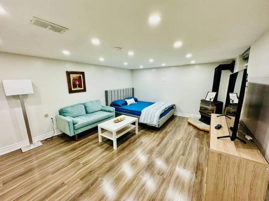 Cozy Studio Bsmt In Scarborough Central