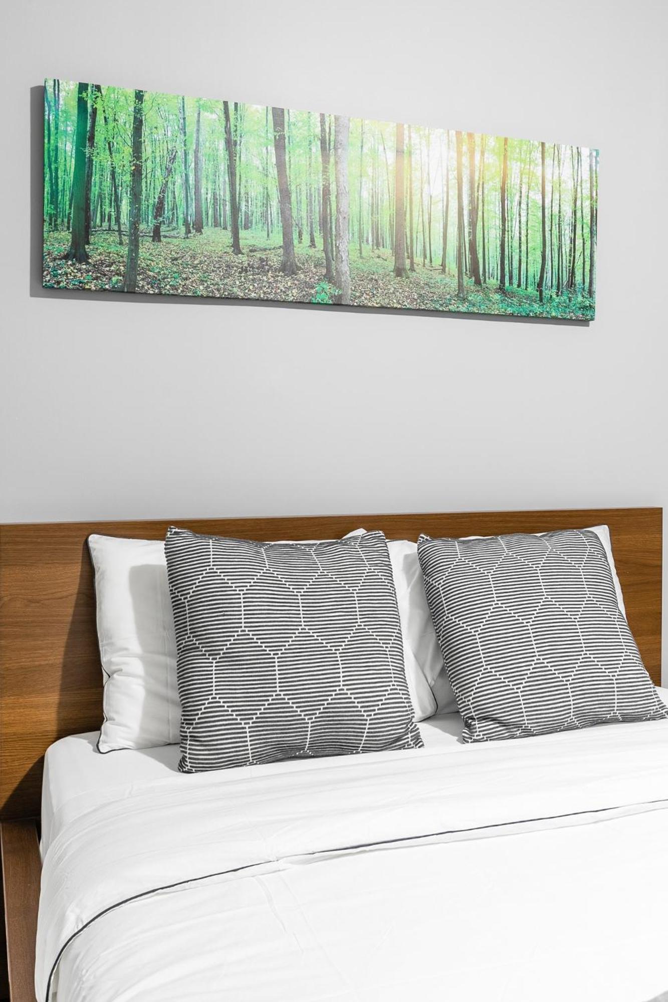 Pet-friendly On Ossington Ave Toronto