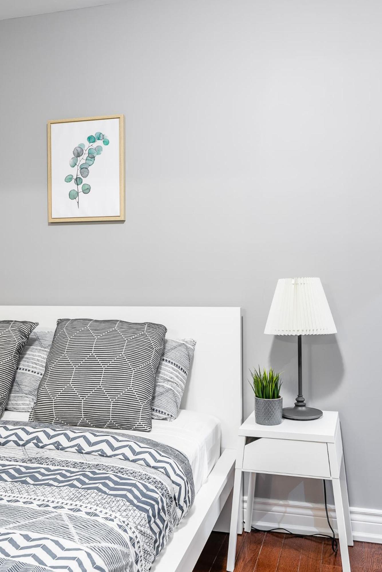 Pet-friendly On Ossington Ave *
