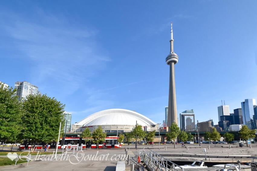 Spacious In The Heart Of Downtown Apartment