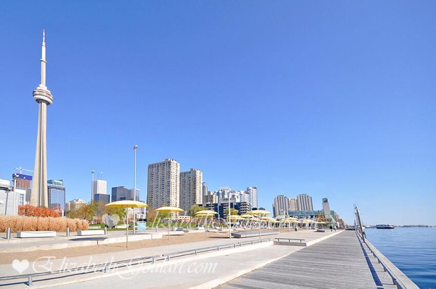 Spacious In The Heart Of Downtown * Toronto