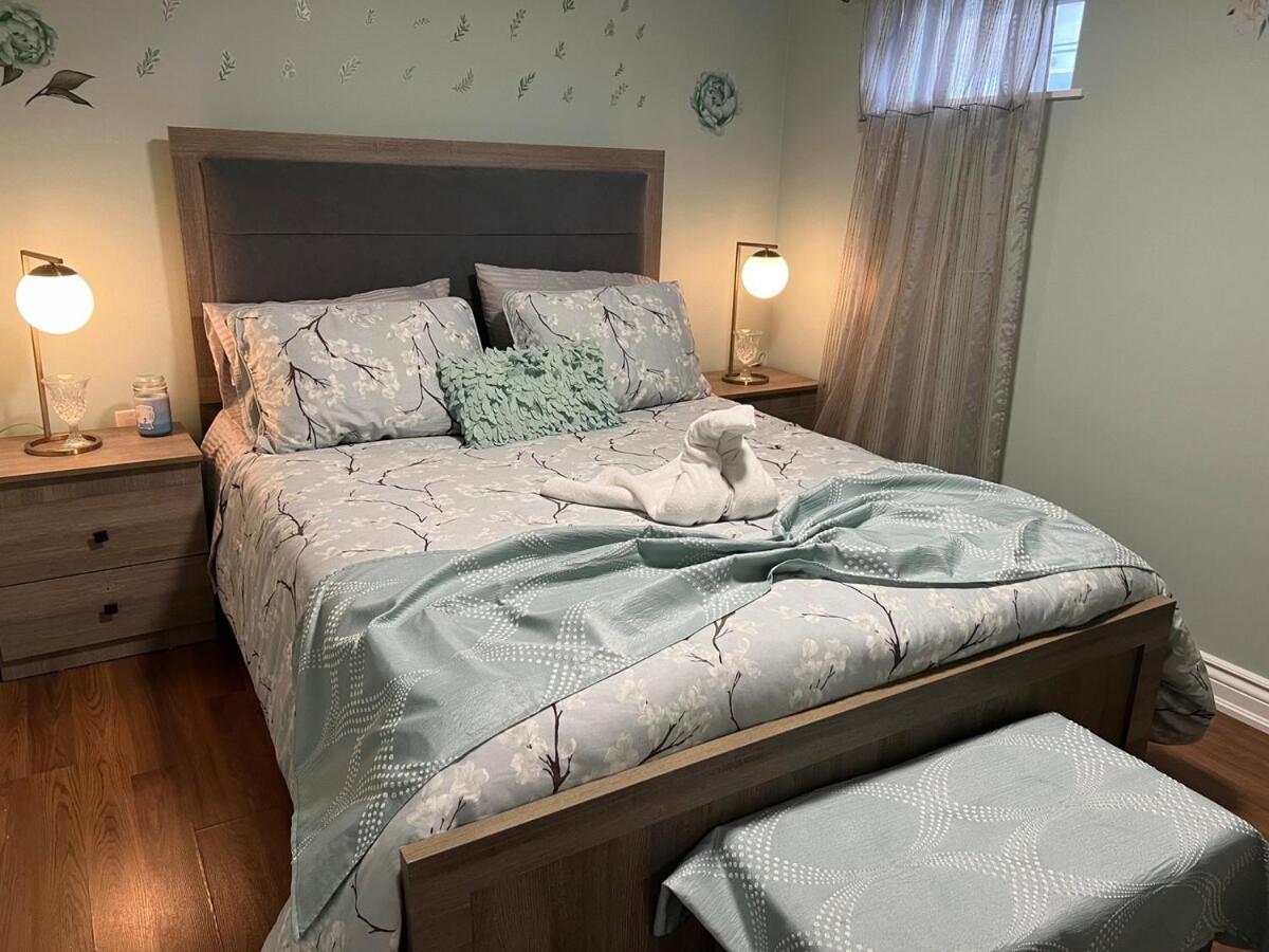 Entire Basement Apartment Toronto