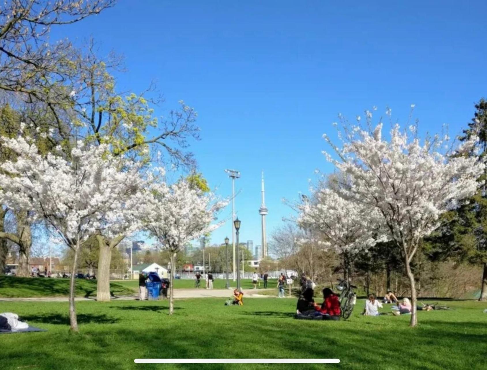 Apartment Downtown - Trinity Bellwood Park Toronto