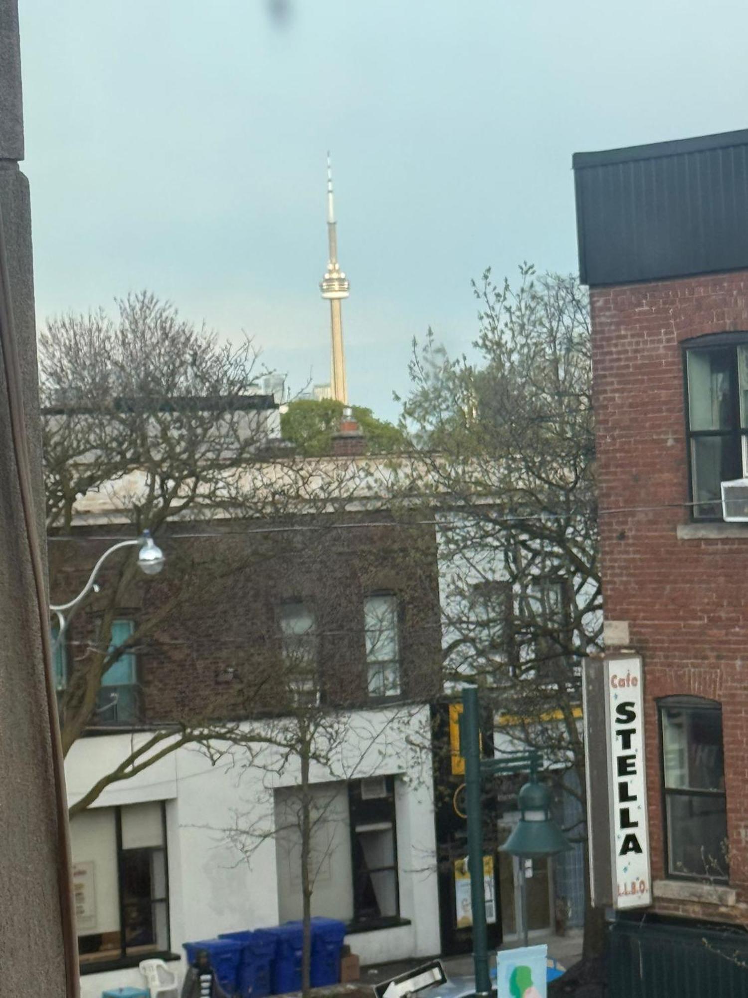 Maple Leaf Stay-walk To Uoft,dt,street Cars,bars,rom-free Wifi Privatunterkunft *