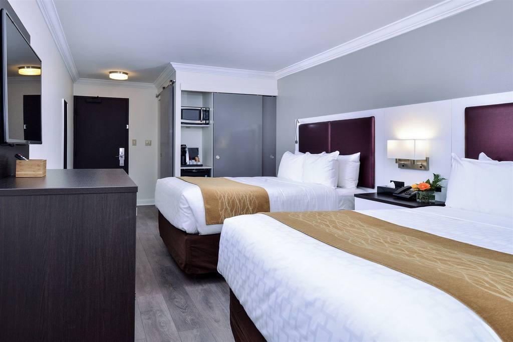 The Saint Hotel, Ascend Collection Hotel Toronto