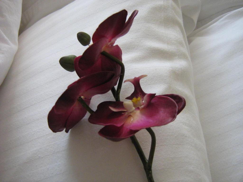 Yonge Furnished Hotel
