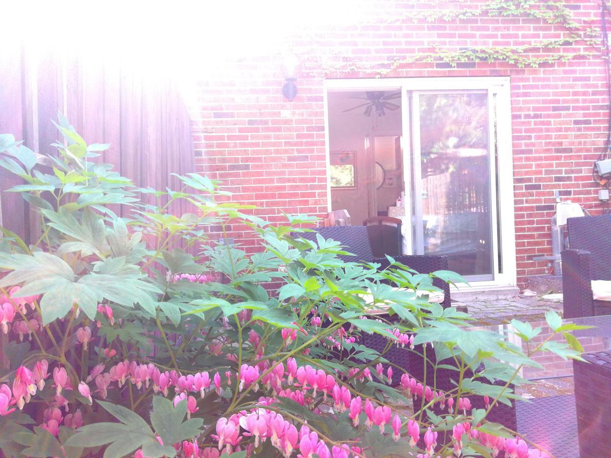 Margie Townhome