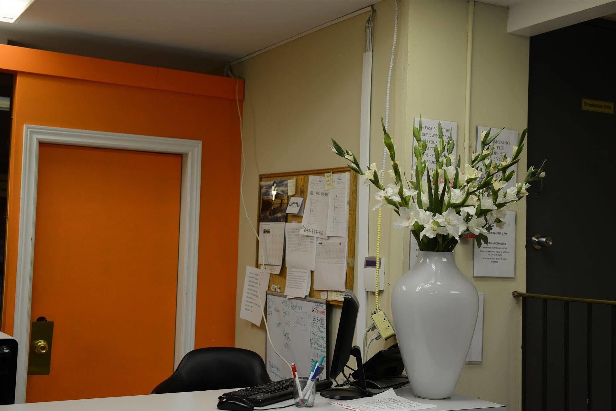 Kensington College Backpackers Hostel