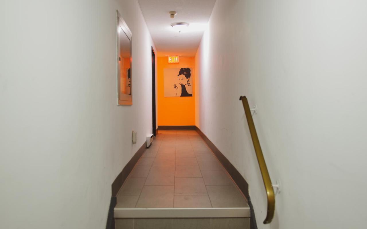Hostel Kensington College Backpackers *