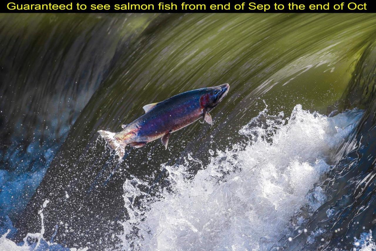 Salmon Magwood * Toronto