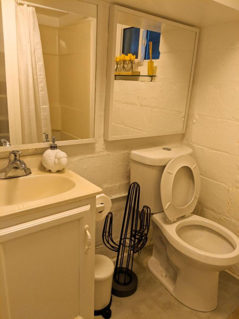 Charming Basement With Private Entrance Near Subway, Koreatown & Uoft *
